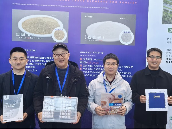 CHELOTA���ӹ�����ҳ����������⼦��ҵ������̳