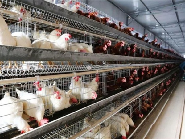 �����������½���ô����