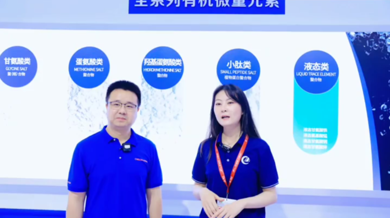 ���ӹ�����ҳ�ܲ������������������ý�ɷ�