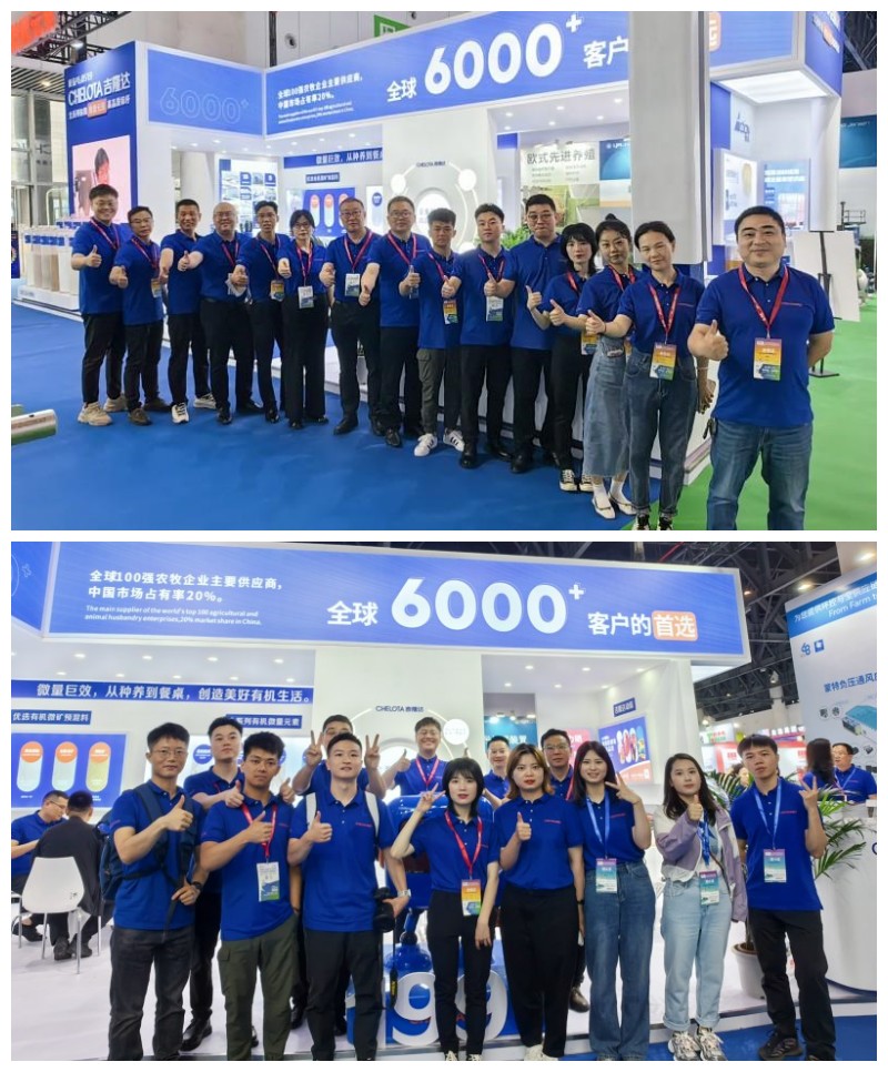 �󲩻����ӹ�����ҳ�����Ŷ�