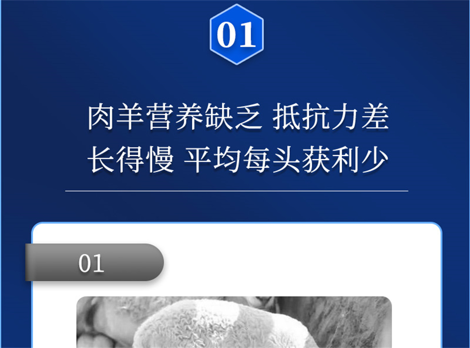 ���ӹ�����ҳ�������������Ӽ��������Ʒ����