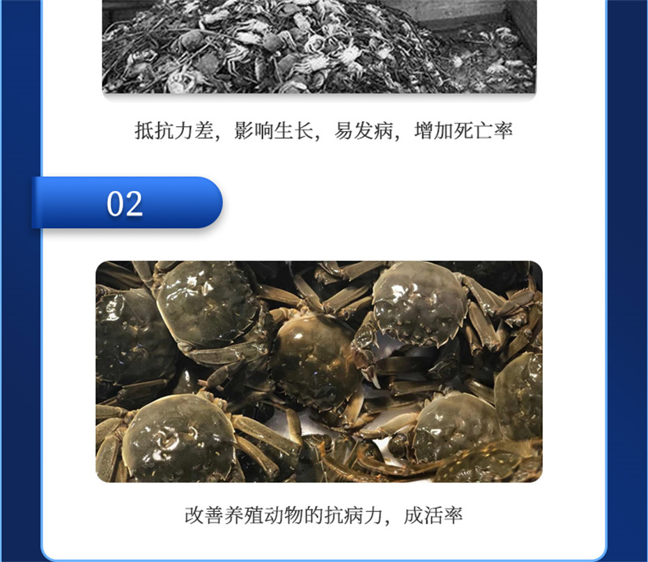 ���ӹ�����ҳ����ˮ���������Ӽ�����1�Ų�Ʒ����