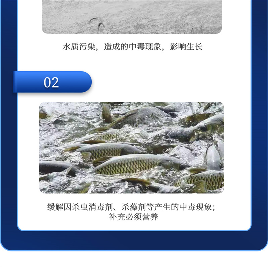 ���ӹ�����ҳ����ˮ���������Ӽ�����1�Ų�Ʒ����