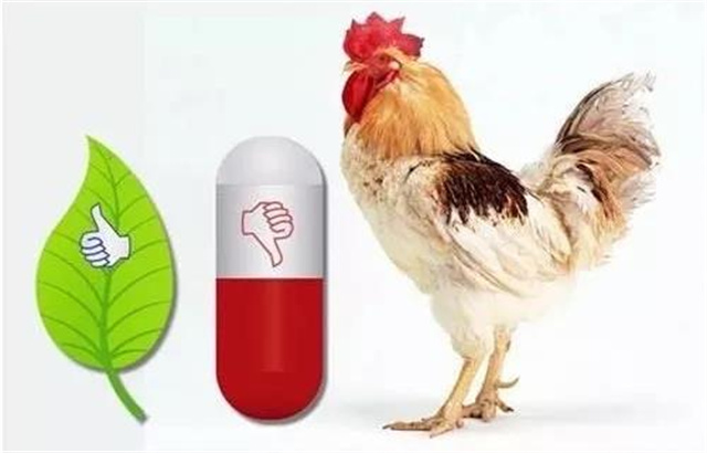 ����ȫ�������Ӱ��