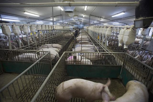 ���ӹ�����ҳ��������������