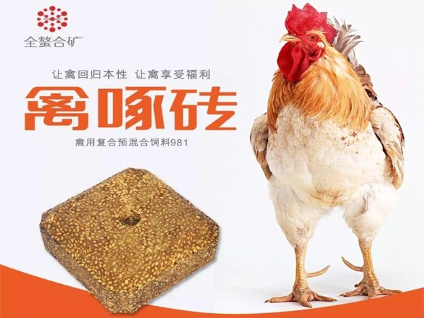 ����ש�������������ܸı�ʲô��