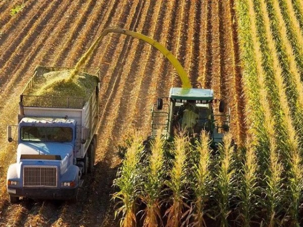 ������ֳحδ��5��������ֳҵ��10���̻���