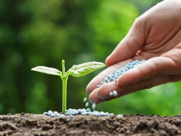 �߲������ʩ����