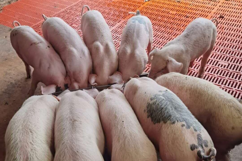 ����������������ԭ��