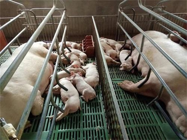 �������Ӽ�