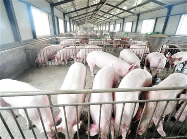 �������Ӽ�