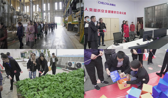 �������Ӽ��������ӹ�����ҳ25������