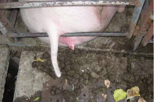 ĸ�����ص�����