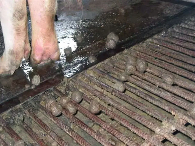 ĸ������