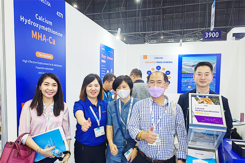 ���ӹ�����ҳ��չVIV-ASIA