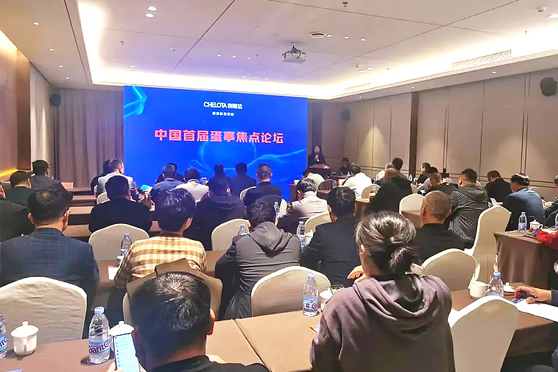 ���ӹ�����ҳ�����й��׽쵰�½�����̳