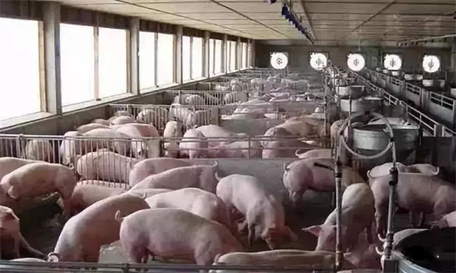 ������ˮϵͳ�Ż�����