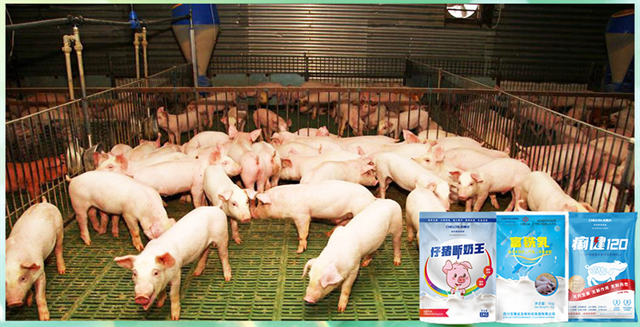 ���ӹ�����ҳ�����������Ӽ�