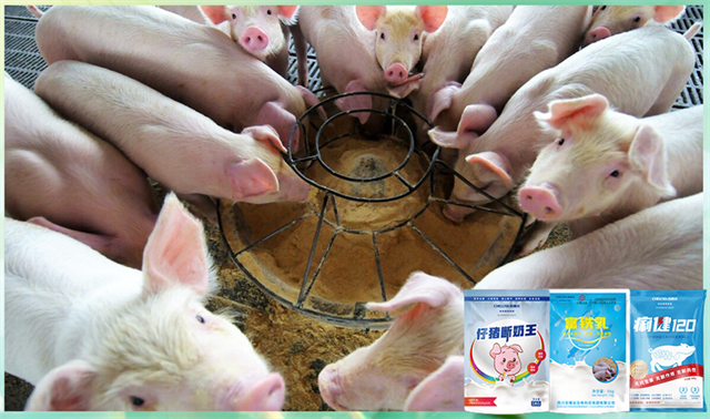 ���ӹ�����ҳ�����������Ӽ�