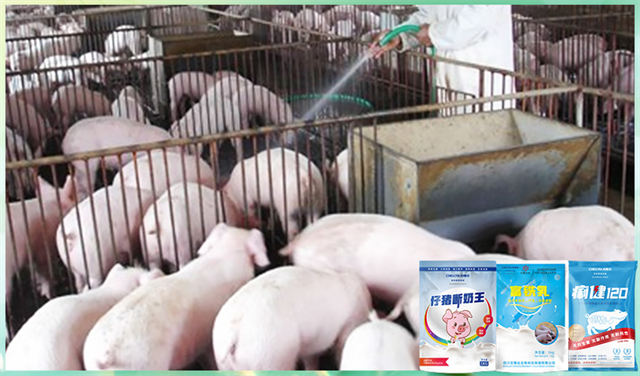 ���ӹ�����ҳ�����������Ӽ�