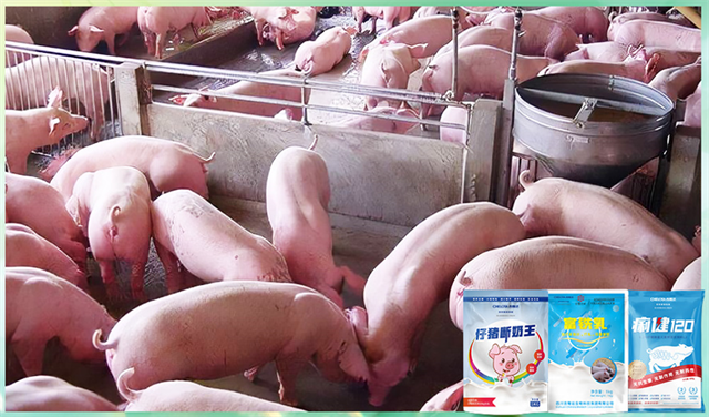 ���ӹ�����ҳ�����������Ӽ�