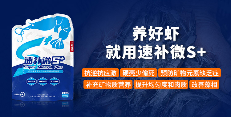 ����Ϻ�������ٲ�΢s+