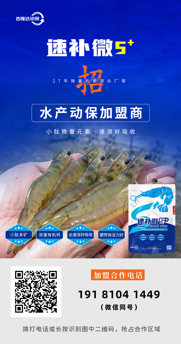 Ϻз�������Ӽ��ٲ�΢S+���˺���