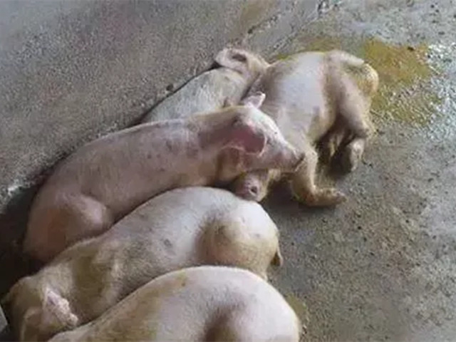 ������������2022�궬����������������к֢״�������������������ղأ�