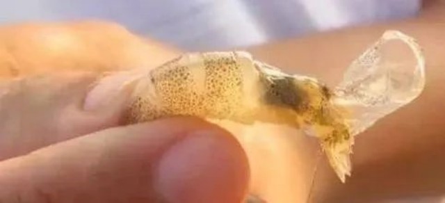 ��Ϻ�ѿǲ�����ô��