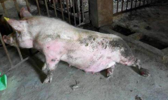 ĸ������̱����ô����