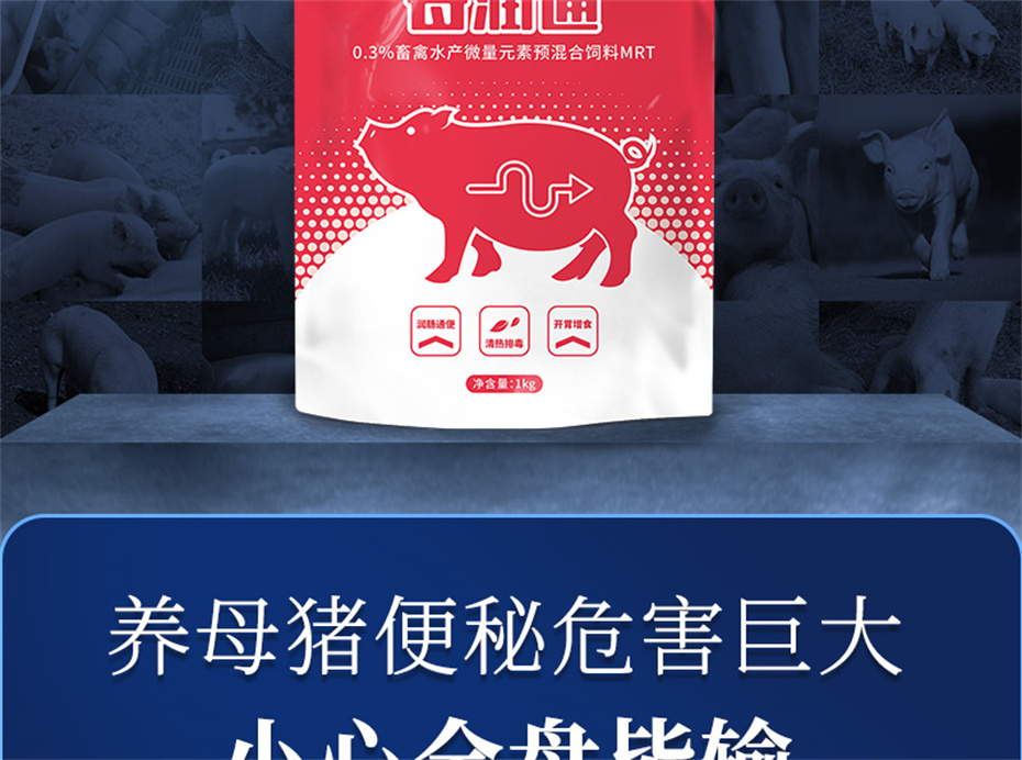 ���ӹ�����ҳ�������������Ӽ�ĸ��ͨ��Ʒ����