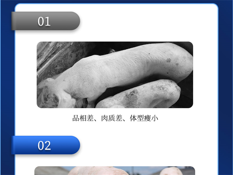 ���ӹ�����ҳ�������������Ӽ�ĸ��ͨ��Ʒ����