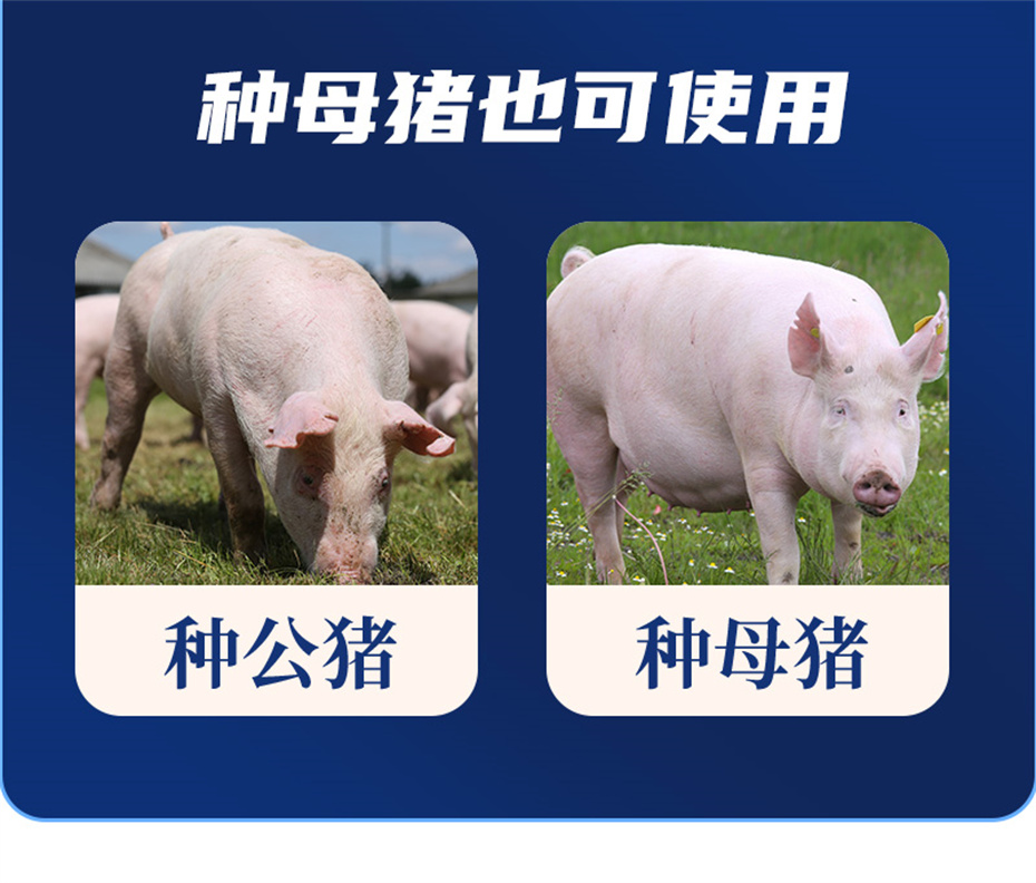 ���ӹ�����ҳ�������������Ӽ���ֳ����Ʒ����