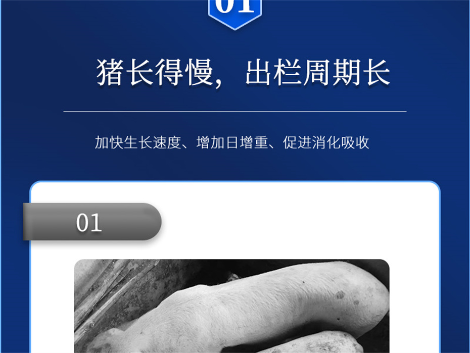 ���ӹ�����ҳ�������������Ӽ���������Ʒ����