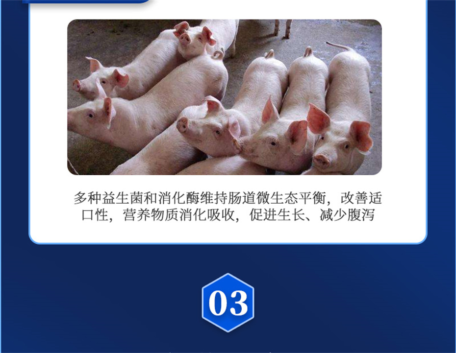 ���ӹ�����ҳ�������������Ӽ�������������Ʒ����