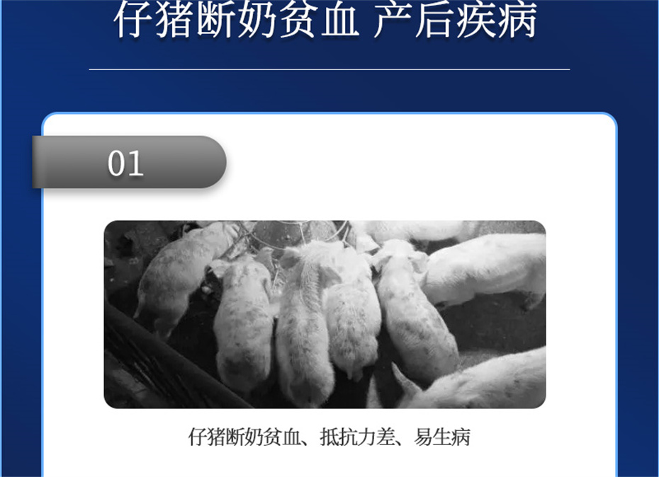 ���ӹ�����ҳ�������������Ӽ�������������Ʒ����