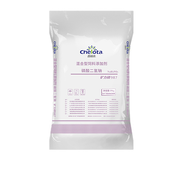 ���������-���ӹ�����ҳ