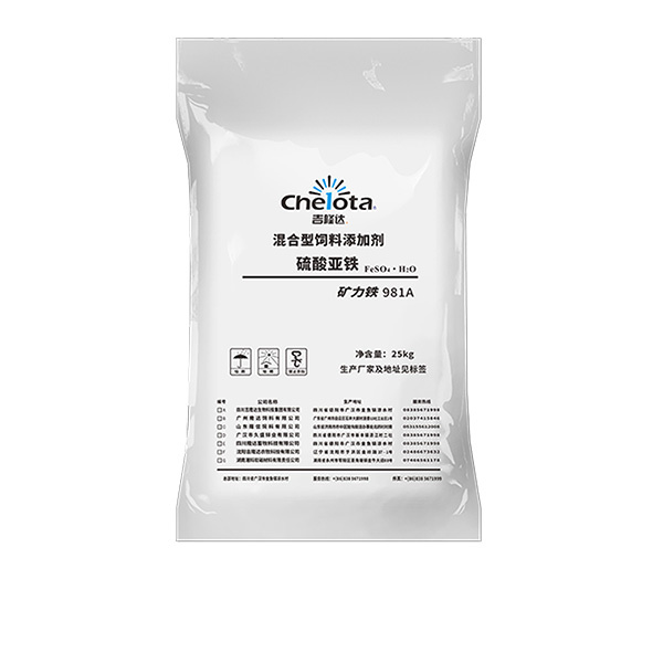 ��������-���ӹ�����ҳ