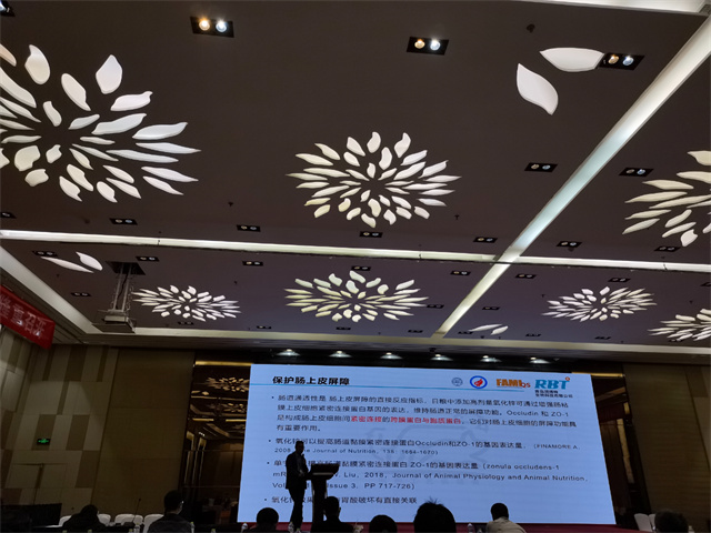 ������̳�ֳ���Ƭ