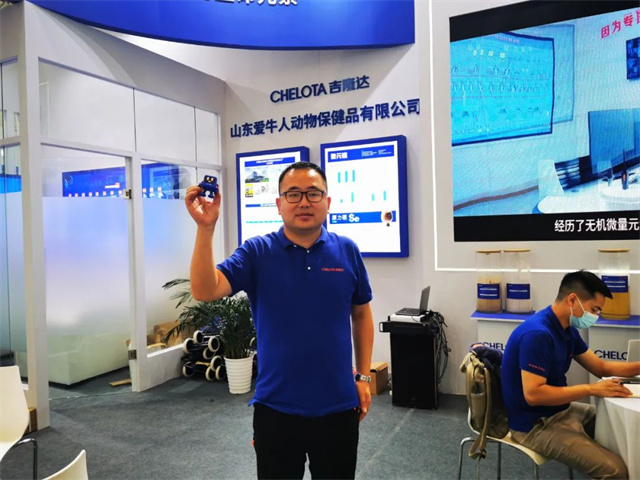 ���ӹ�����ҳ����IP���󡰴󼪡�