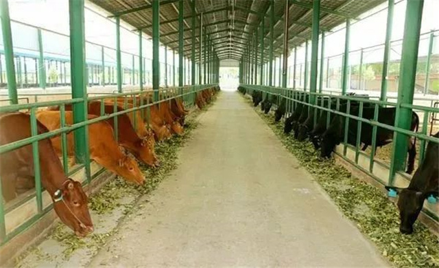 �������Ӽ�