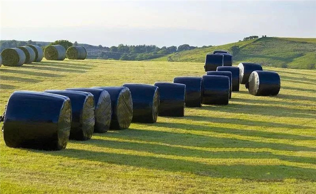 �������Ӽ�