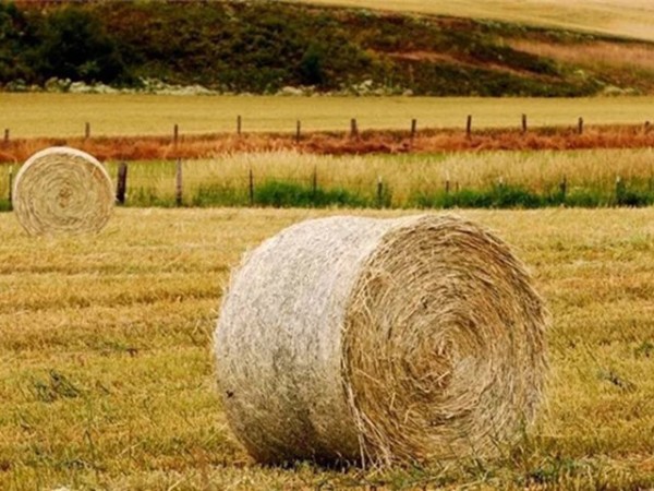 �������Ӽ�