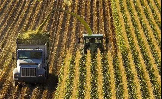 �������Ӽ�