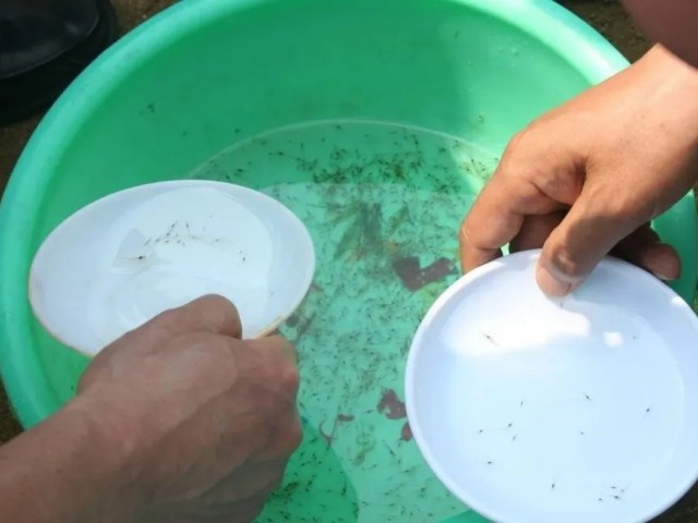 ��Ϻ�����ʱ��