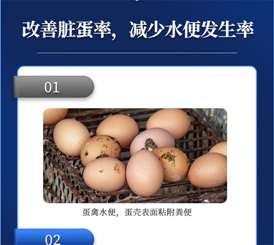 ���ӹ�����ҳ�������������Ӽ�ǿ�Ǳ���Ʒ����