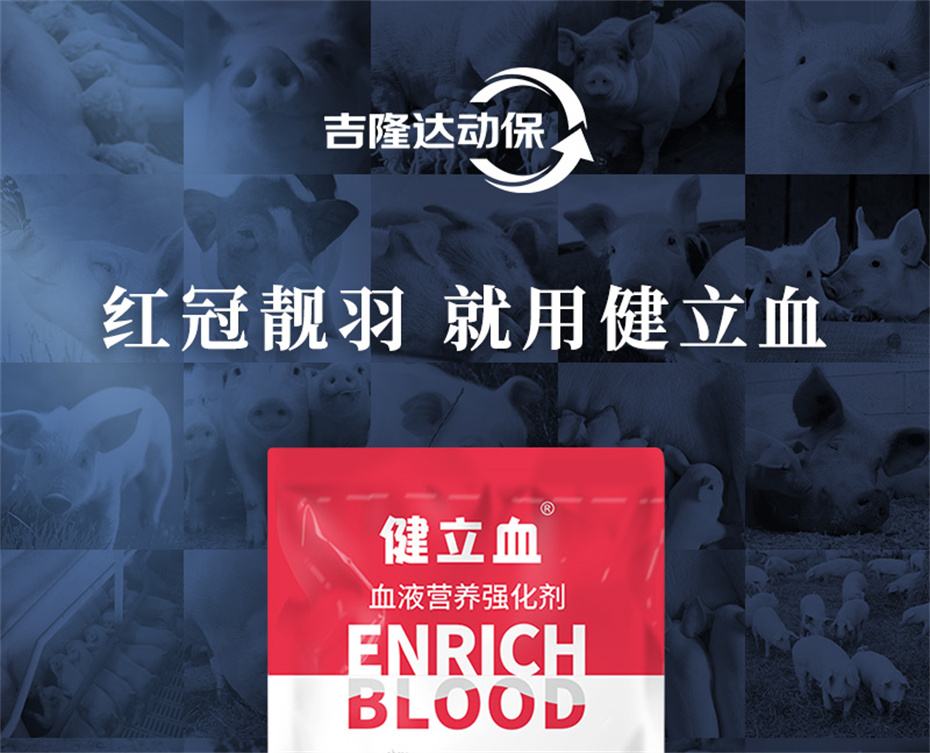 ���ӹ�����ҳ�������������Ӽ�����Ѫ�ݲ�Ʒ����