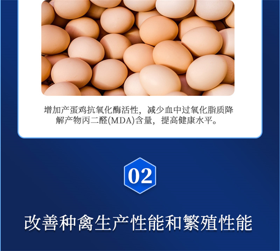 ���ӹ�����ҳ�������������Ӽ�����Ѫ�ݲ�Ʒ����