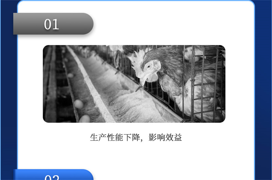 ���ӹ�����ҳ�������������Ӽ�����Ѫ�ݲ�Ʒ����