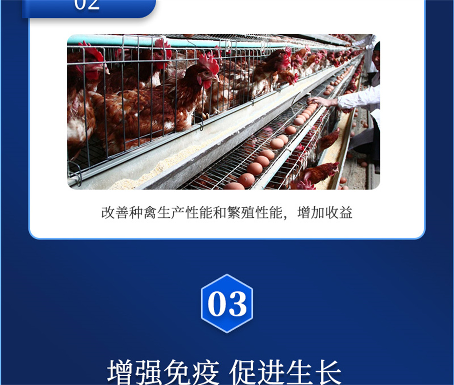 ���ӹ�����ҳ�������������Ӽ�����Ѫ�ݲ�Ʒ����